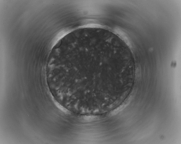 X0000090711425200708101455