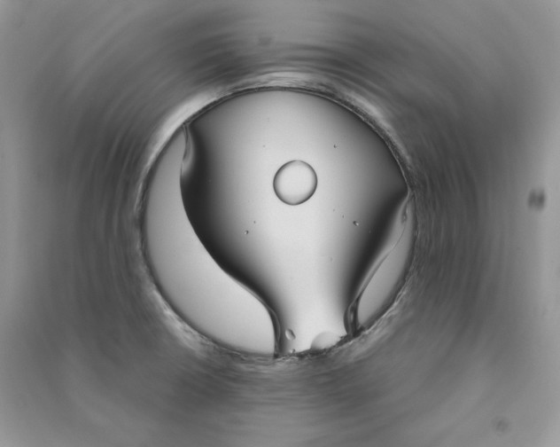 X0000090711426200708101455