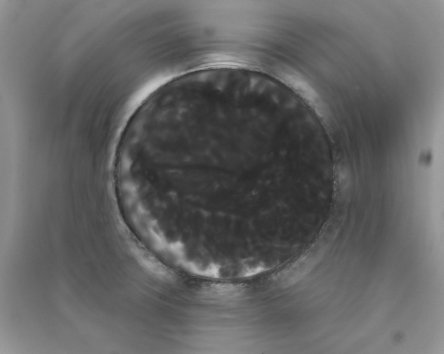 X0000090711427200708101455