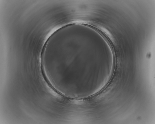 X0000090711428200708101455