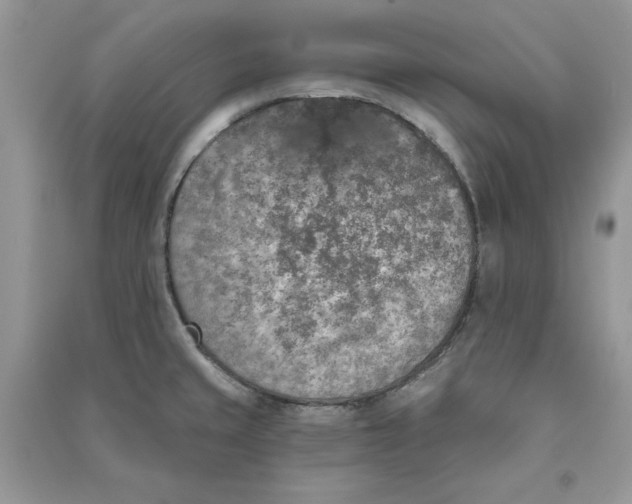 X0000090711429200708101455