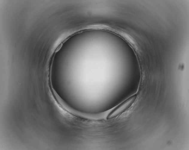 X0000090711430200708101455