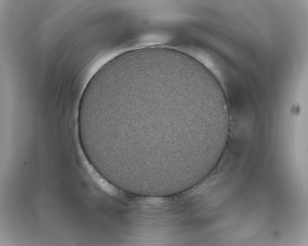 X0000090711431200708101456