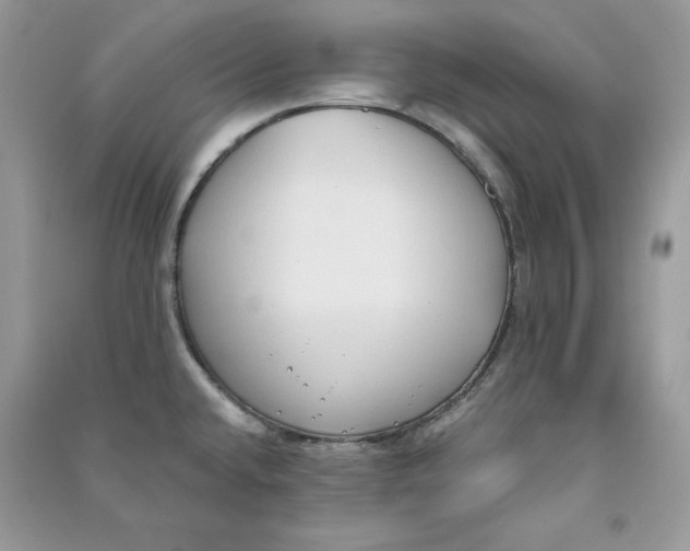 X0000090711432200708101456