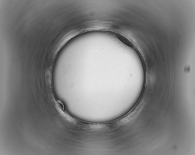 X0000090711433200708101456