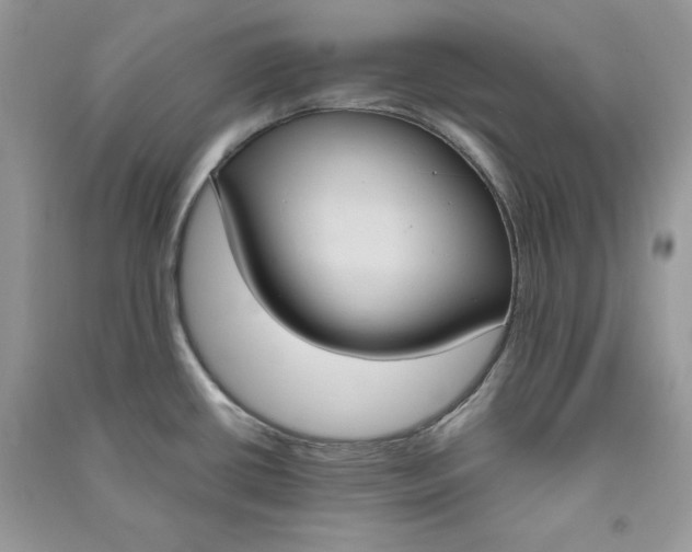 X0000090711434200708101456