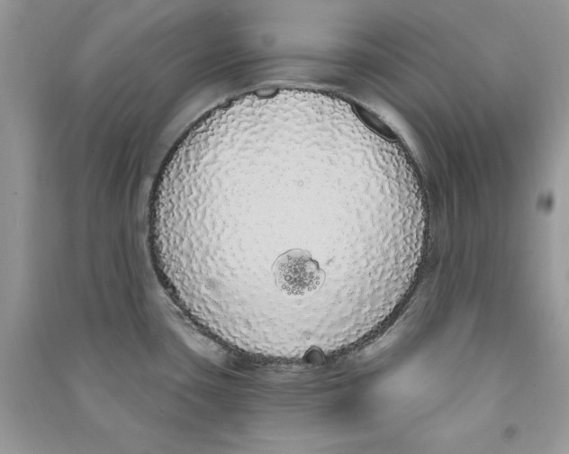 X0000090711435200708101456