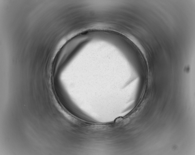 X0000090711437200708101456