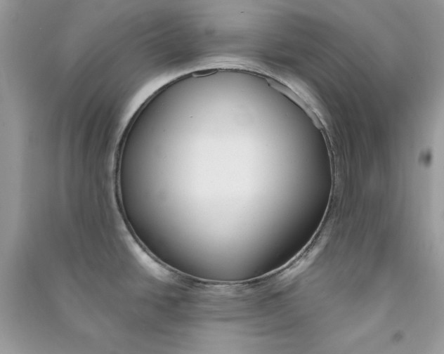 X0000090711438200708101456