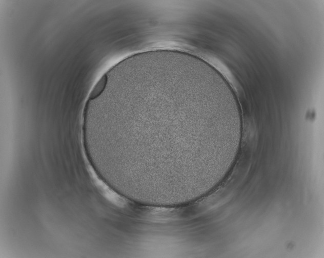 X0000090711439200708101456