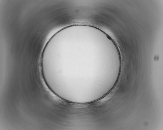 X0000090711440200708101456