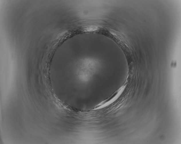 X0000090711441200708101455