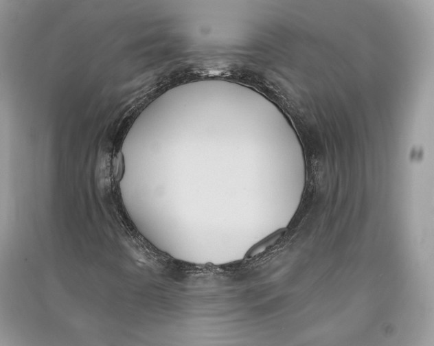 X0000090711442200708101455