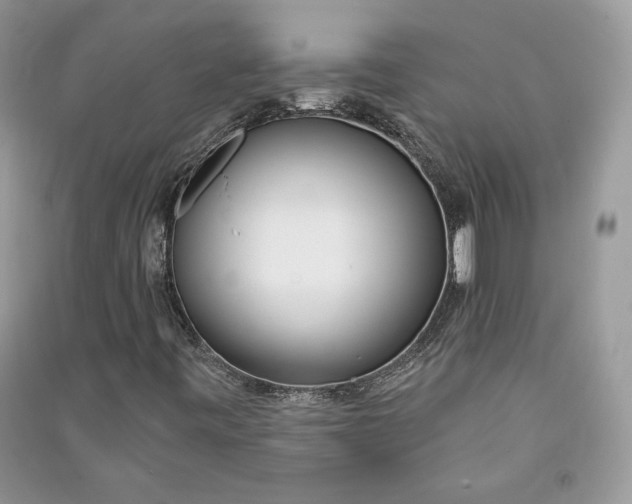 X0000090711443200708101455