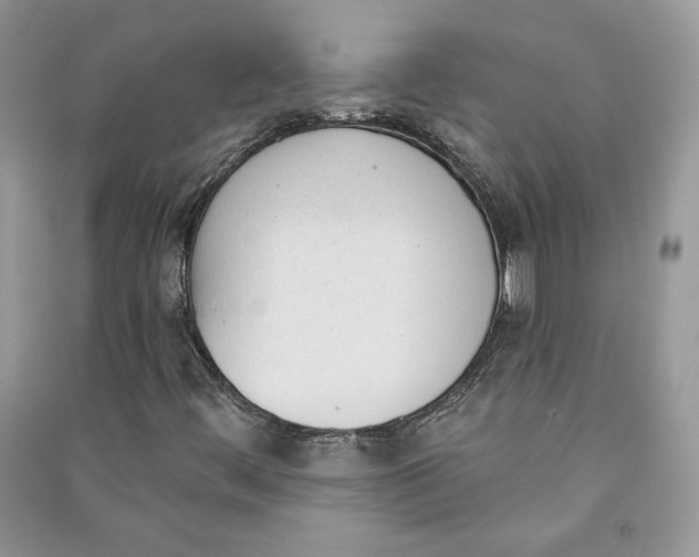 X0000090711444200708101455