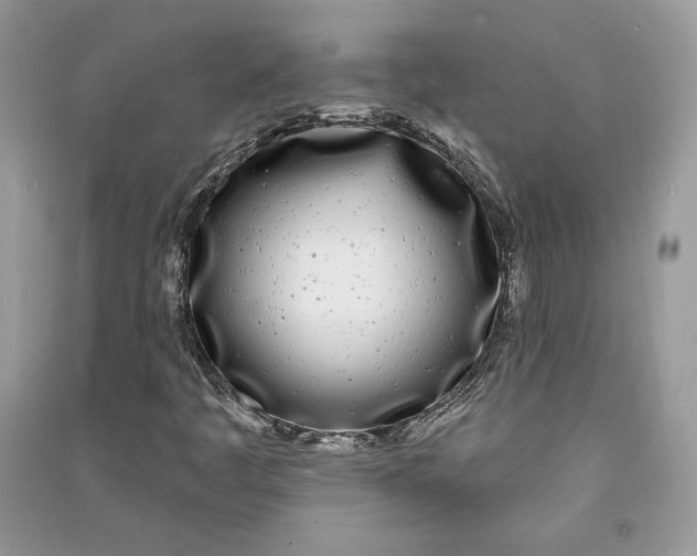 X0000090711445200708101455