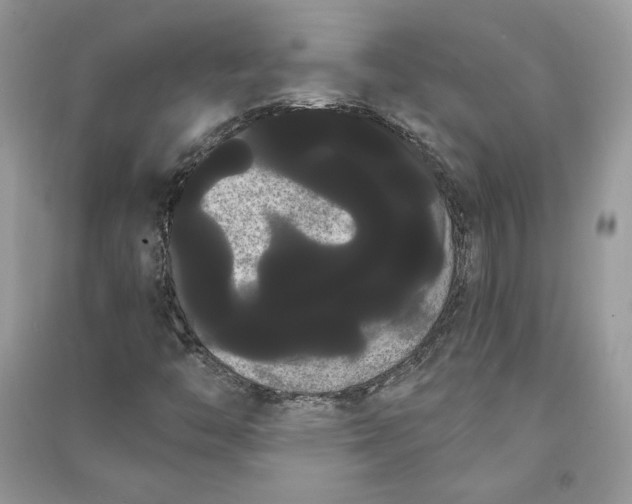 X0000090711446200708101455