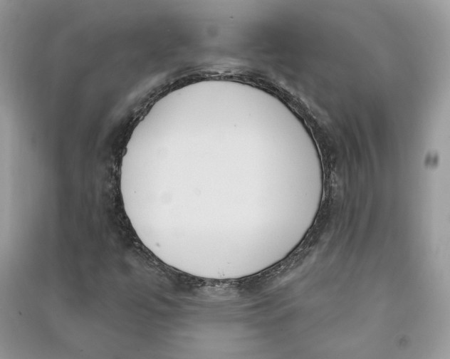 X0000090711447200708101455