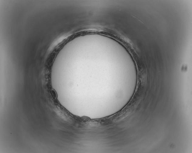 X0000090711448200708101455