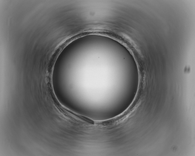 X0000090711449200708101455