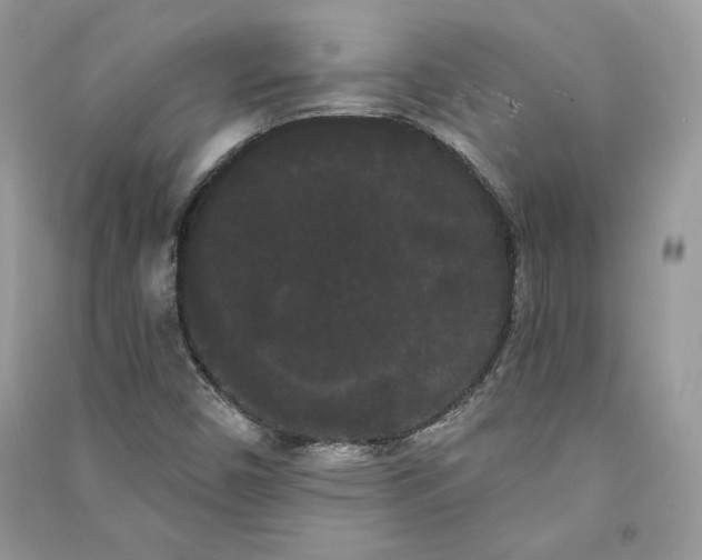 X0000090711450200708101455