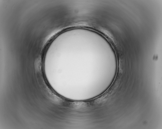 X0000090711452200708101455