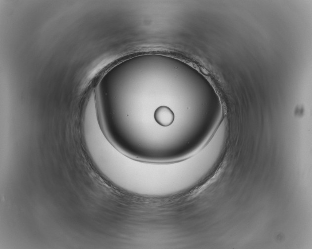 X0000090711453200708101455