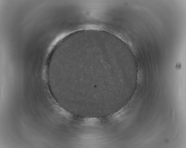 X0000090711454200708101455