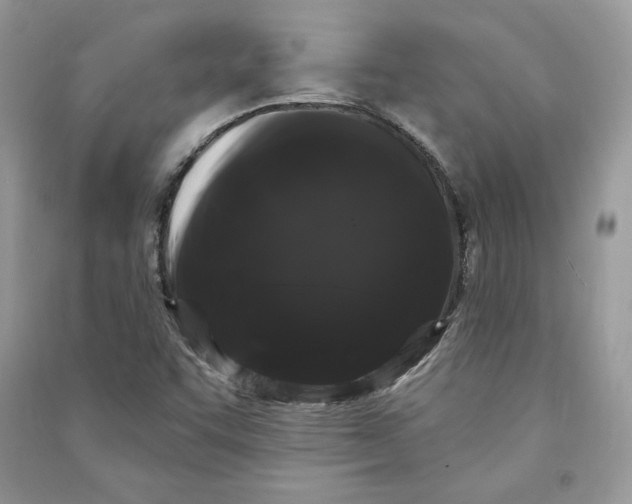 X0000090711455200708101455