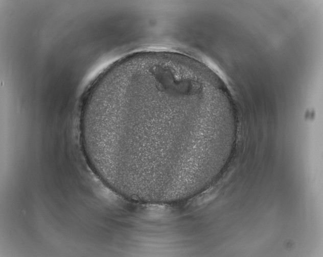 X0000090711456200708101455