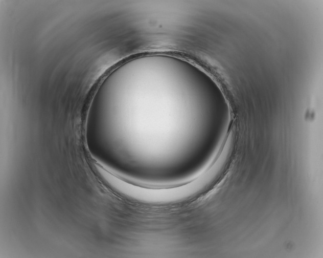 X0000090711457200708101455