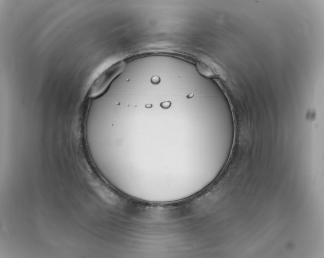 X0000090711458200708101455