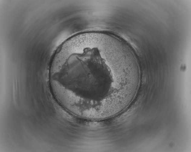 X0000090711459200708101455