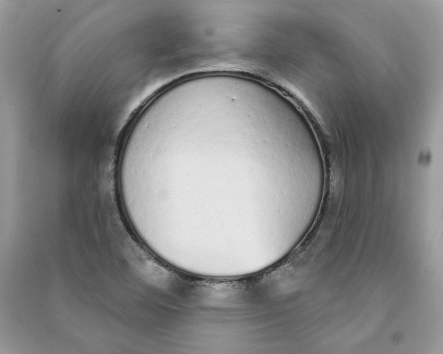 X0000090711460200708101455