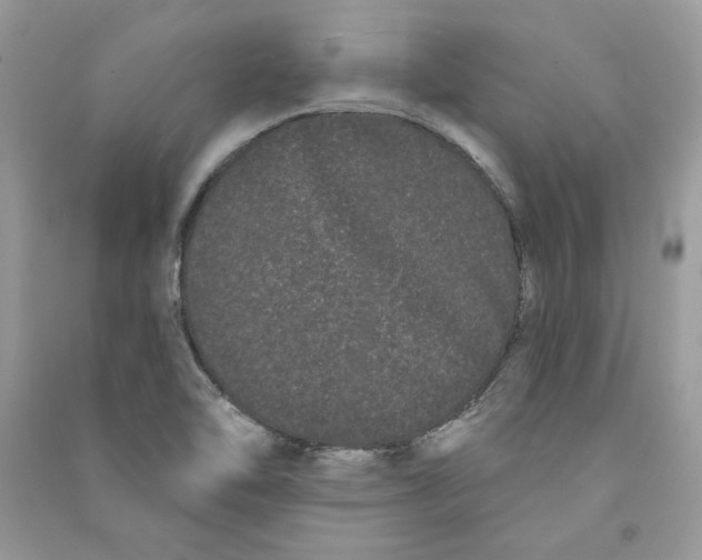 X0000090711462200708101455