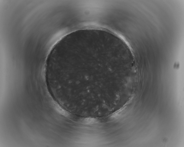 X0000090711463200708101455