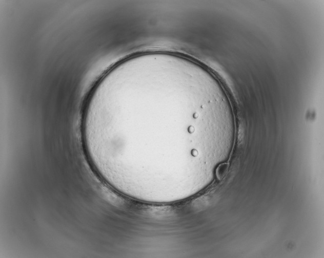 X0000090711464200708101455