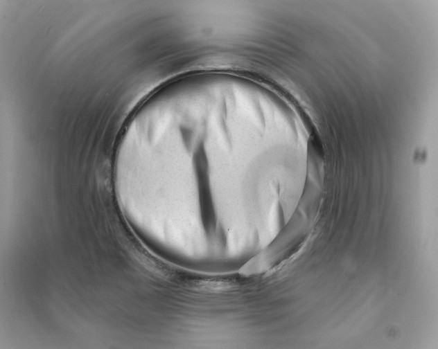 X0000090711465200708101455