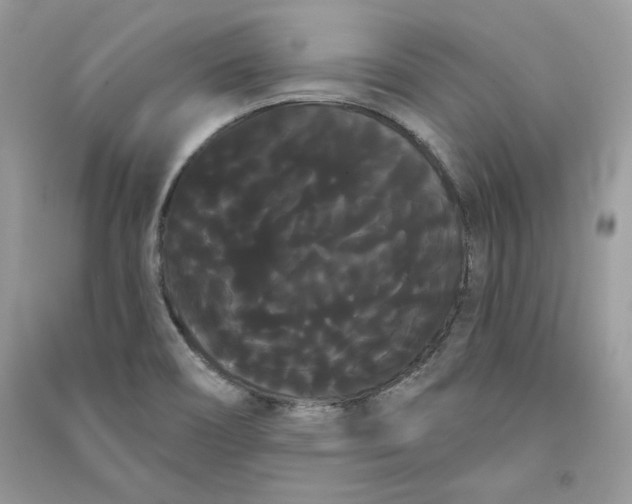 X0000090711466200708101455