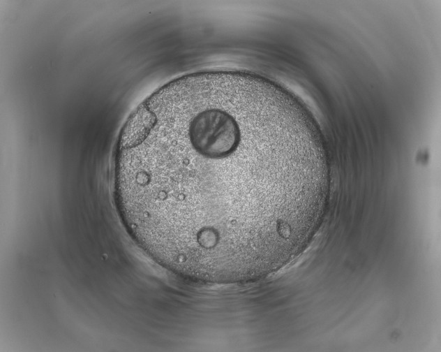 X0000090711467200708101455