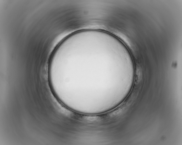 X0000090711468200708101455