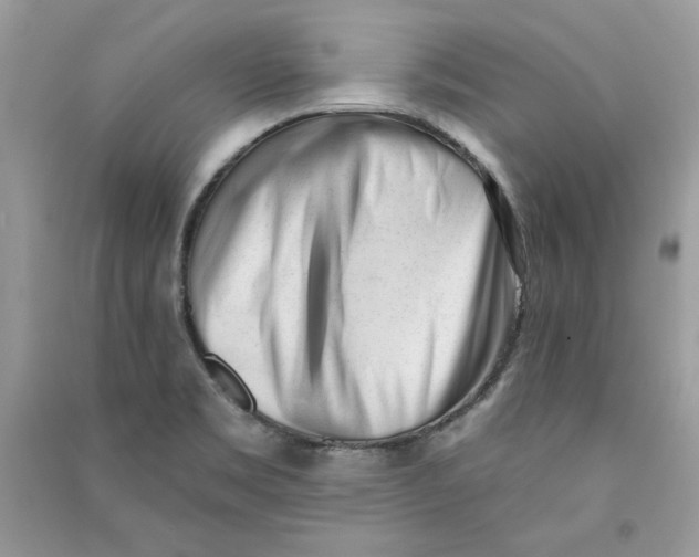 X0000090711469200708101455