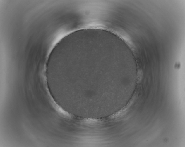 X0000090711470200708101455