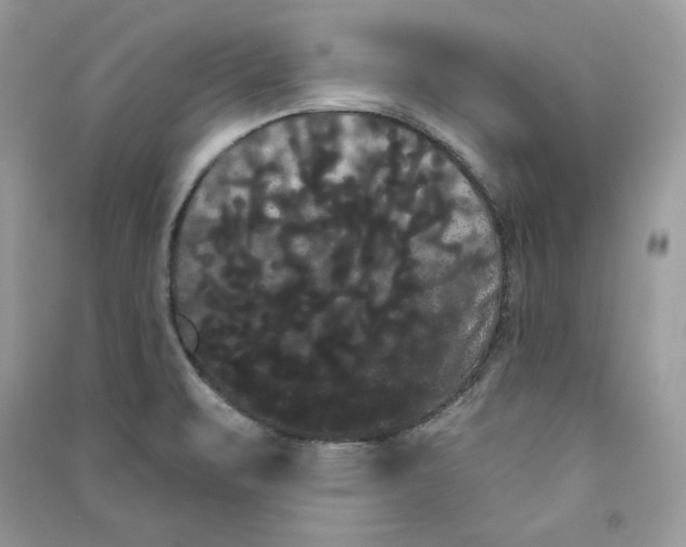 X0000090711471200708101455