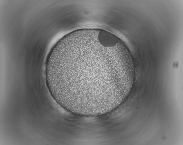 X0000090711472200708101455