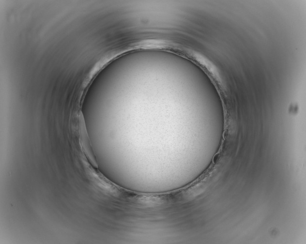 X0000090711473200708101455