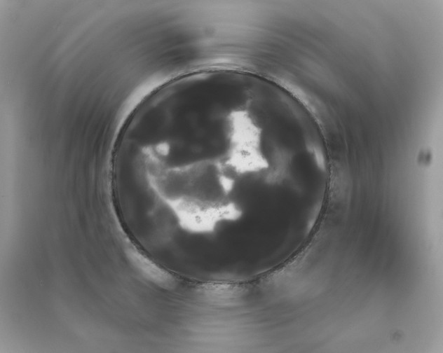 X0000090711474200708101455