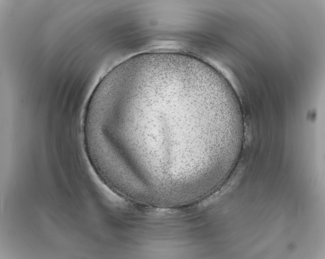 X0000090711475200708101455