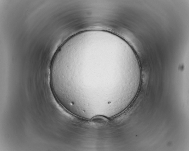 X0000090711476200708101455