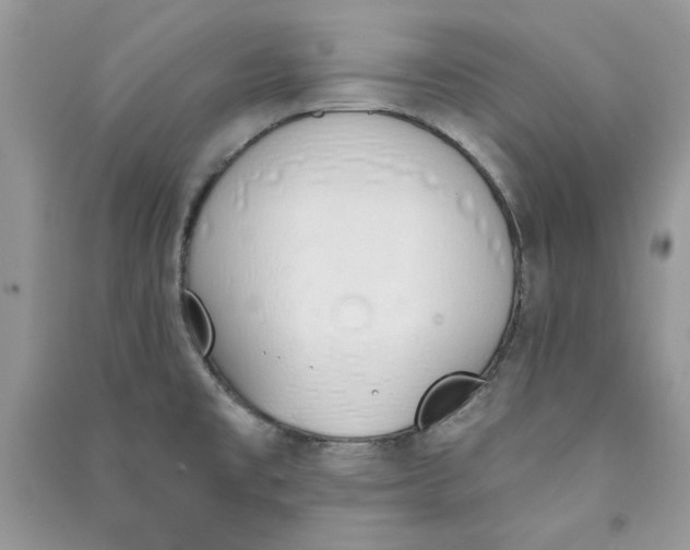 X0000090711477200708101455